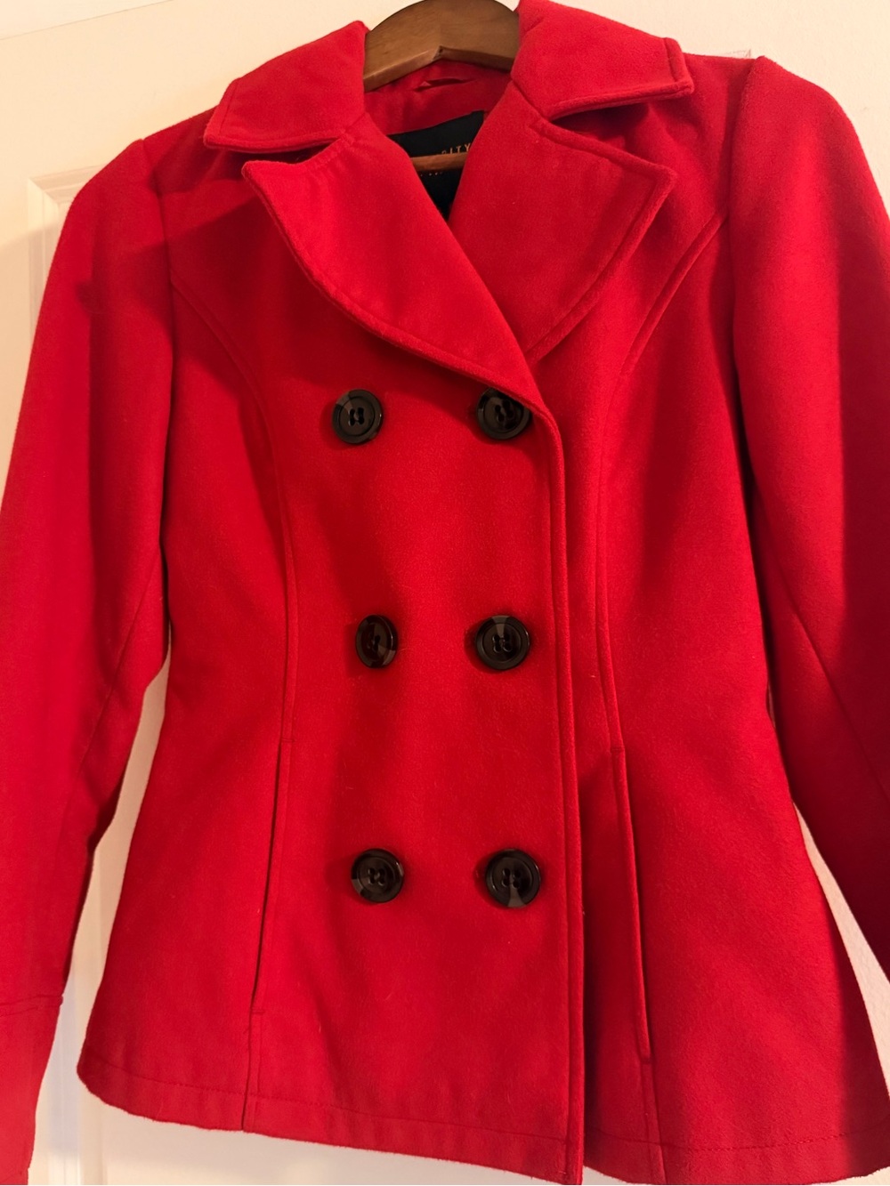 CELEBRITY PINK Double-Breasted Coat